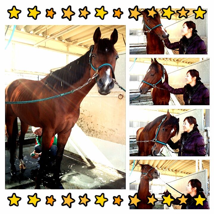 美浦トレセン 山本潤のあした天気になぁれ