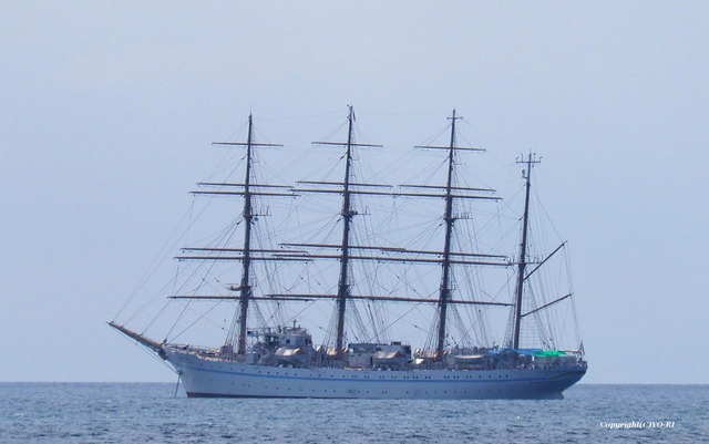 P9168504