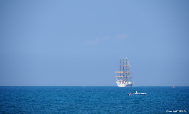P9168421