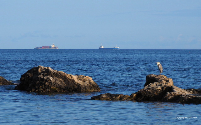 P9168951