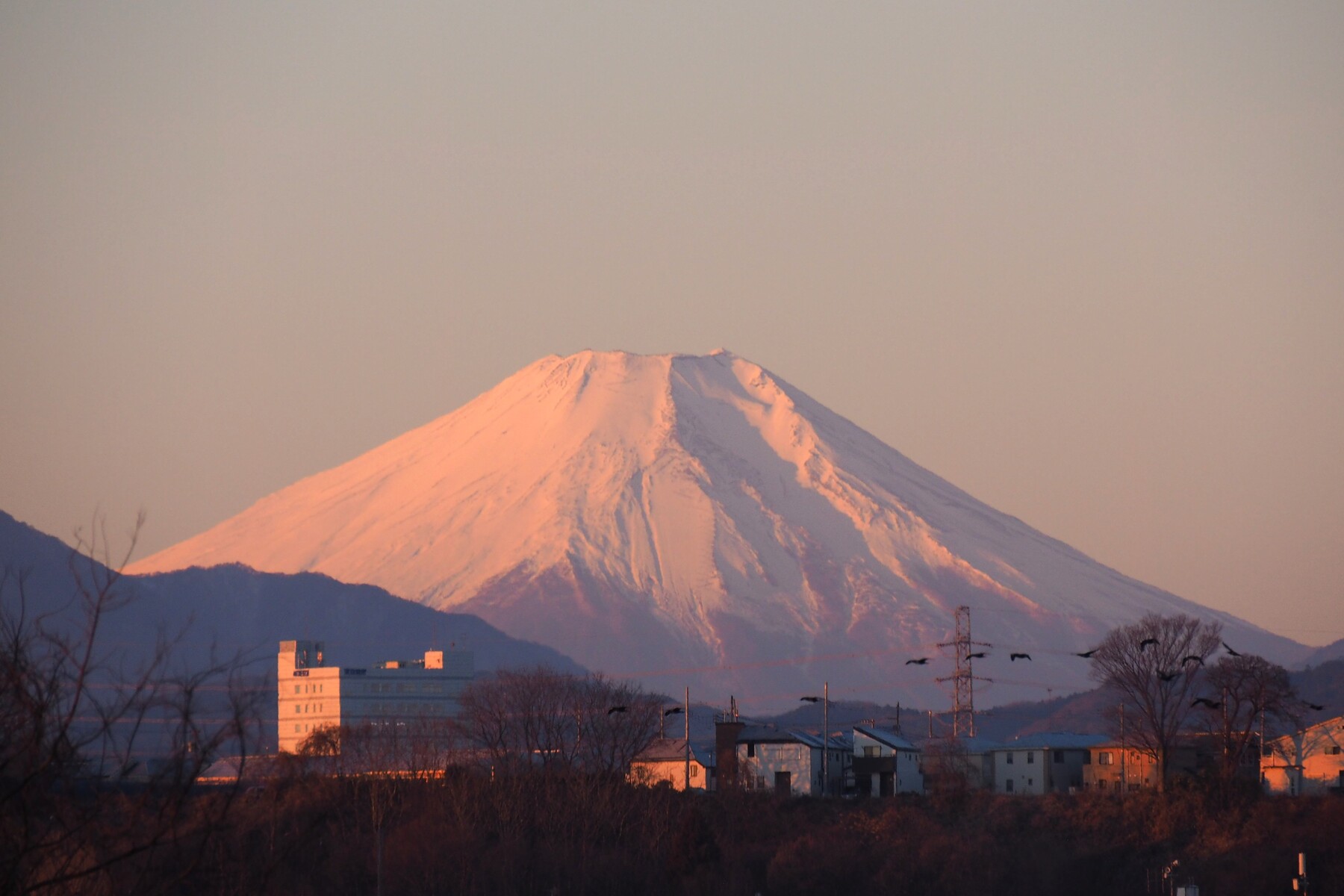 多摩川で朝の富士山 : Photo by YO-RI ｢日々雑食」 ～館山・南房総～