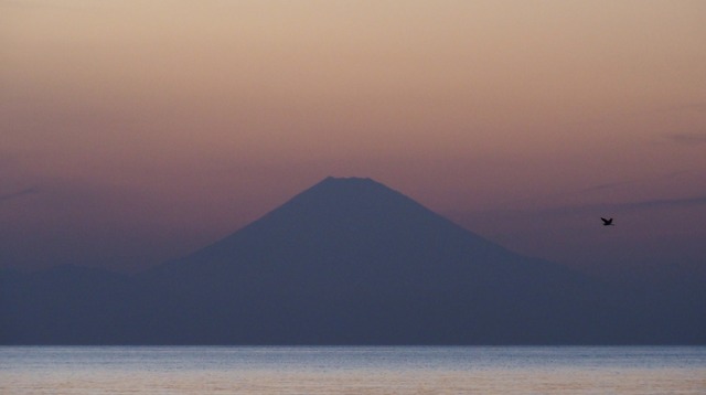 P4030837