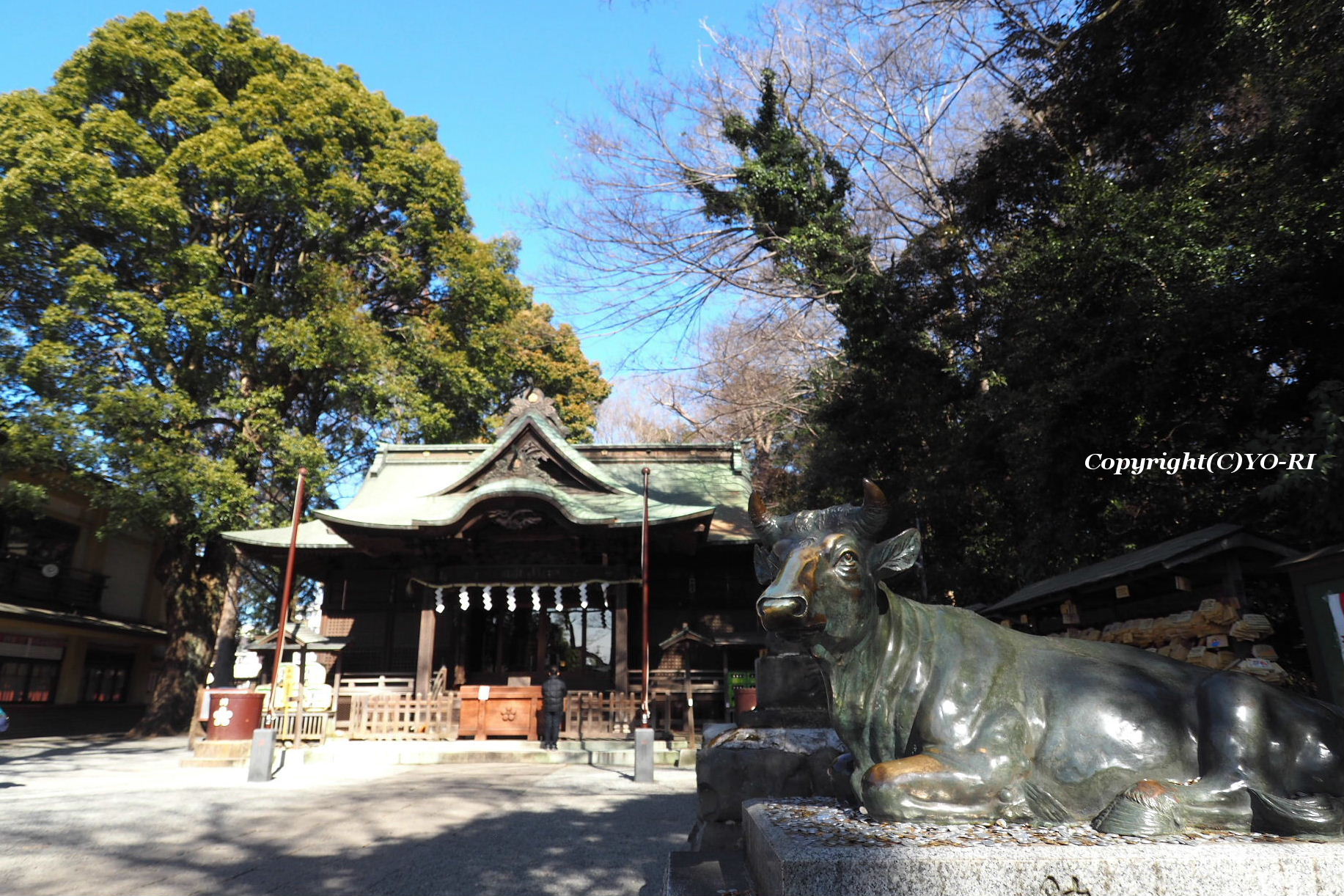 神社と鶏 Photo By Yo Ri 日々雑食 神社と鶏 Photo By Yo Ri 日々雑食