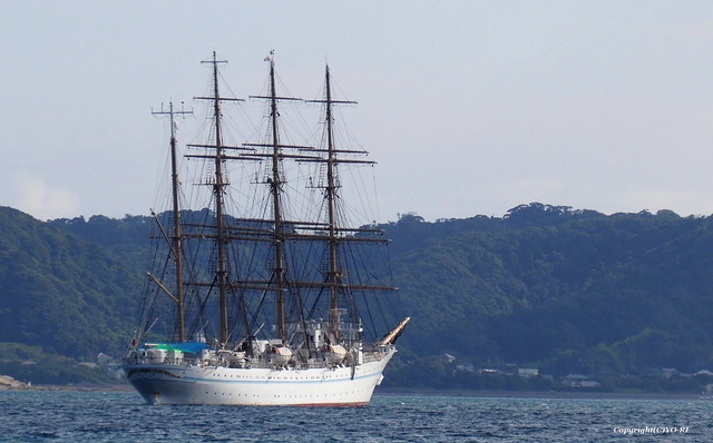 P9168523