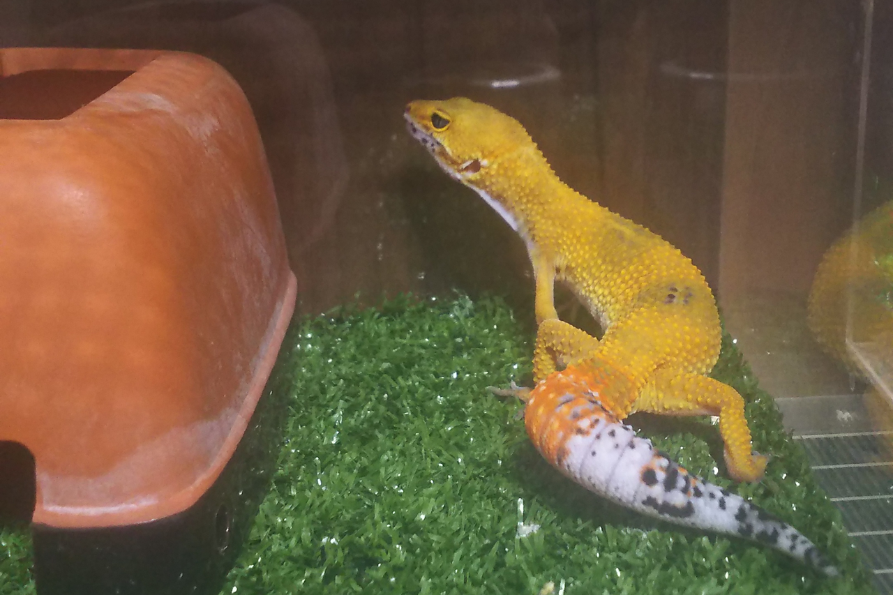 19年02月16日 やもや ありえ