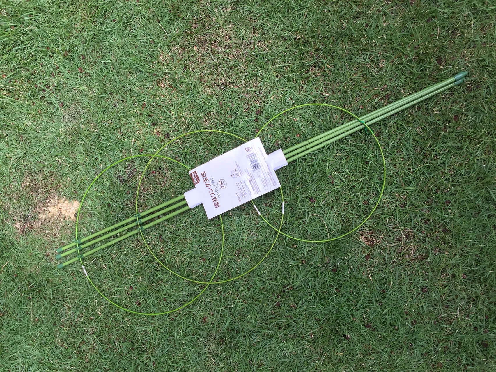 パッションフルーツを行灯仕立てにします 週末ガーデニング Dash庭