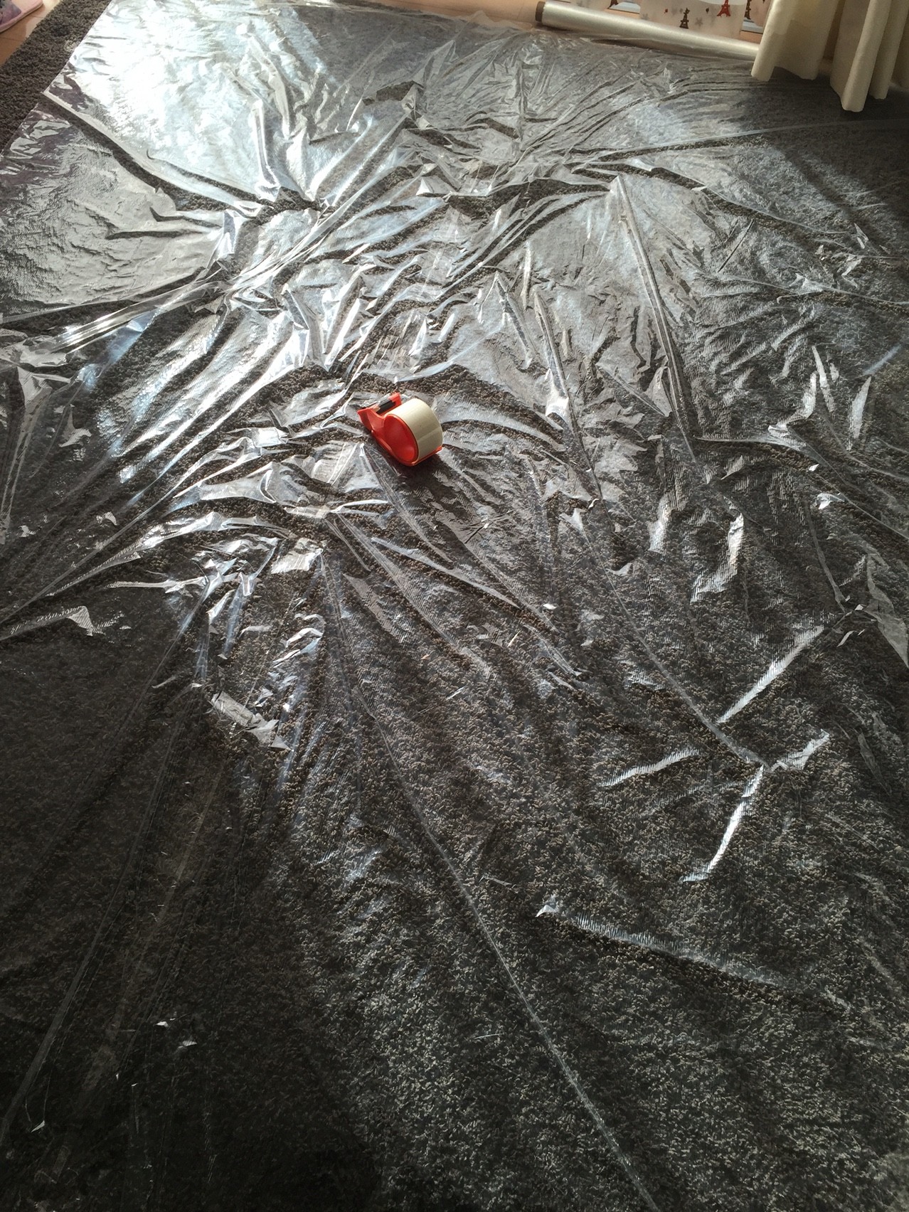 パッションフルーツの冬越し 重ね着 週末ガーデニング Dash庭