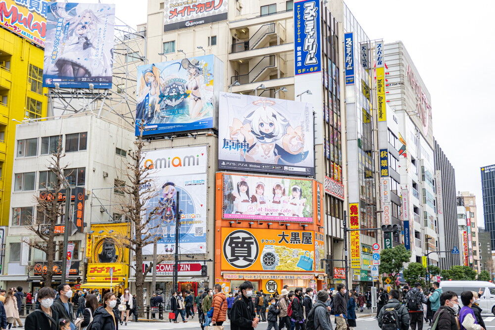 久しぶりに秋葉原に行ったら昔のようなゲームの街じゃなくなってた