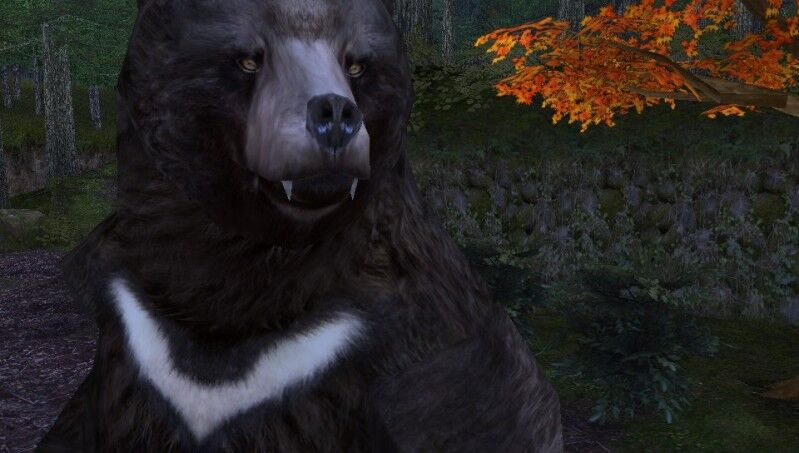 クマと戦えるゲームってある？