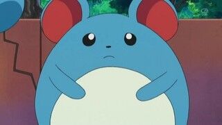 画像 かわいくて強いポケモンと言えば あまゲー速報 画像 かわいくて強いポケモンと言えば あまゲー速報
