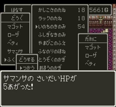 RPGでステータスアップ系のアイテム取っても使わないんだが普通？