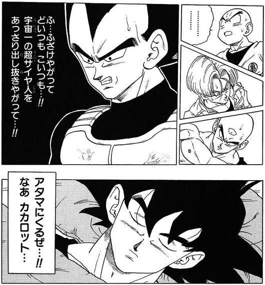 ベジータ「頭に来るぜ…なあカカロット」←これ