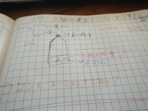 DSCN6603