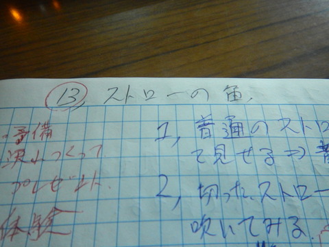 DSCN6607