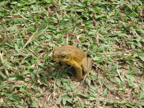 P9060140