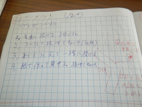 DSCN6599