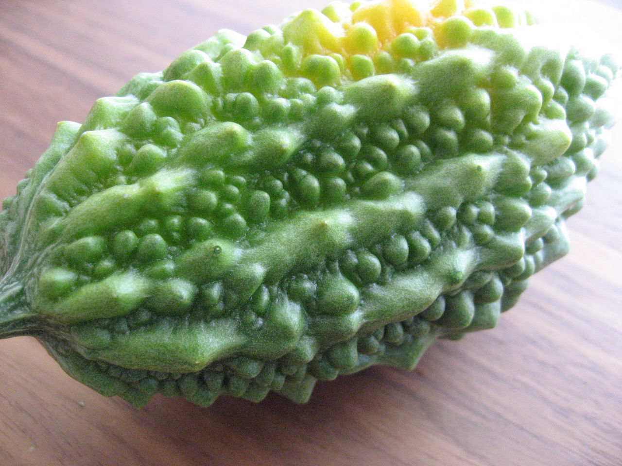 ゴーヤの収穫 末恐ろしいほどの鈴なり 平屋を建てる ゴーヤの収穫 末恐ろしいほどの鈴なり 平屋を建てる