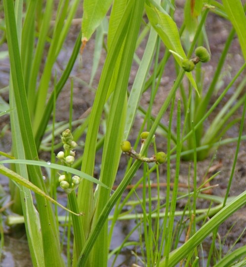 ²èÁü2011.07.06 117