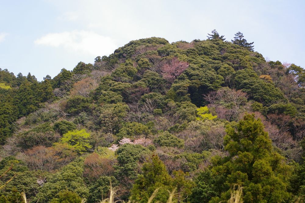 恫喝 土のうた 恫喝 土のうた
