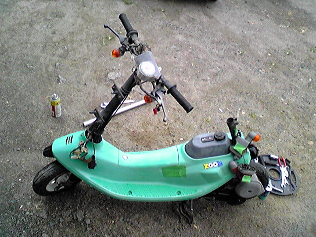 きぴちょ ｚｏｏｋ