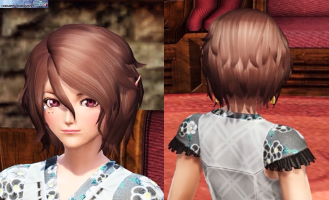 新春 戌年アクセサリーセレクト 戦利品アイテムいろいろ はるちゃんねる 新春 戌年アクセサリーセレクト 戦利品アイテムいろいろ はるちゃんねる