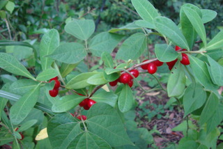 DSC01639
