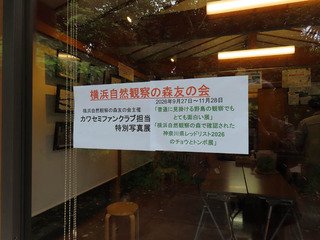 IMG_5781（改