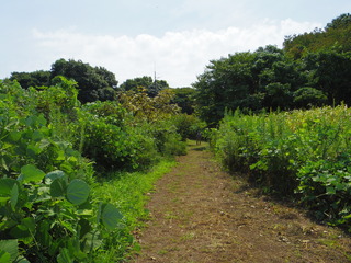 ZFC20220914 (3)