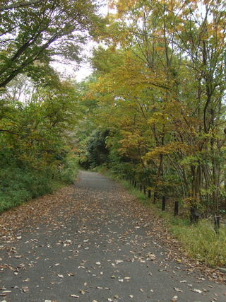 DSC07550