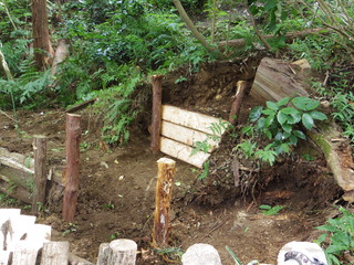 ZFC20220917 (2)