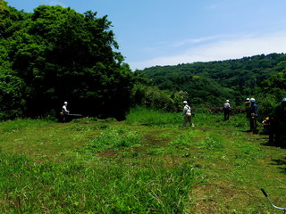 ZFC20220518 (9)