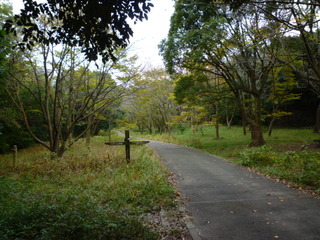 P1010648