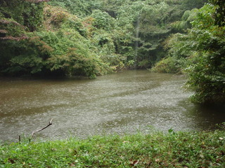 PA300021