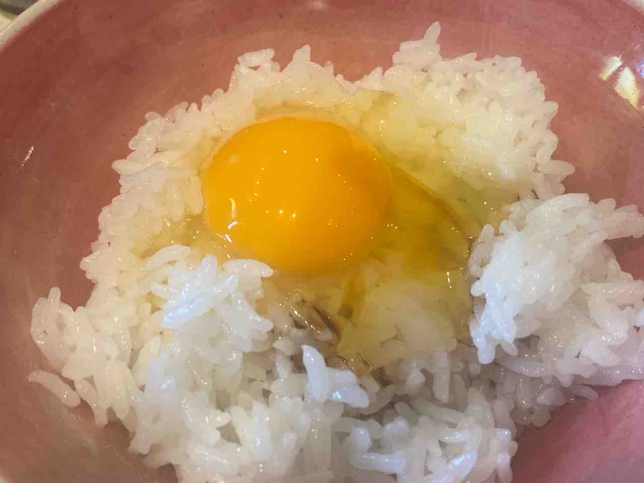 イセ食品のtkg卵 陽はすでにカンジス川から イセ食品のtkg卵 陽はすでにカンジス川から