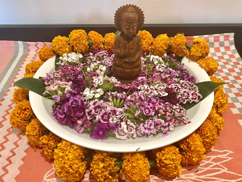 67964624-9136-4408-9D19-21419CFC89E7