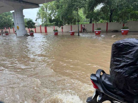 IMG_3245