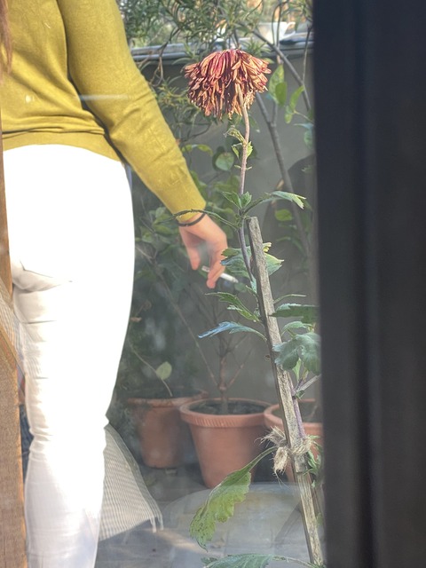 519AE068-FBEE-4D2F-BA84-14D213A2FAA8