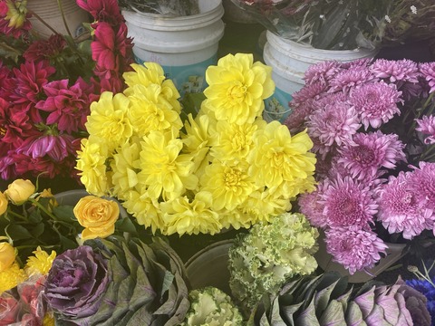 05242ECF-088F-4081-9664-C9E875473618