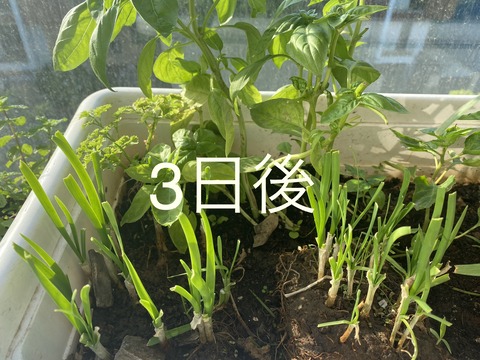 63B3634B-2079-4608-97A5-D5A52A0CDEC1