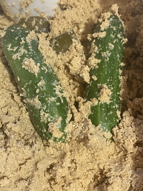 2C97B117-2DA2-4AF2-B38B-5C5BC84C8BD7