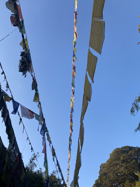 84753E31-4D22-4ACD-ABEC-BC645D08A1E0