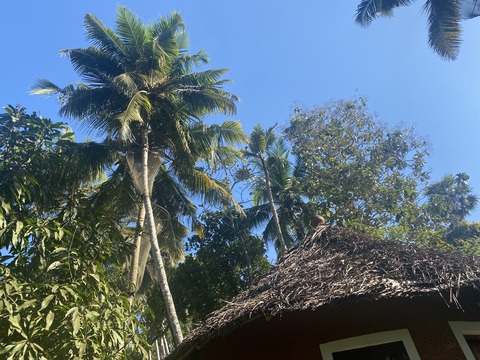 186E9305-29FC-4399-A6C2-78280486042F