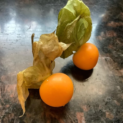 DB2BAC36-64D8-4998-824E-1FA2DD5E0331