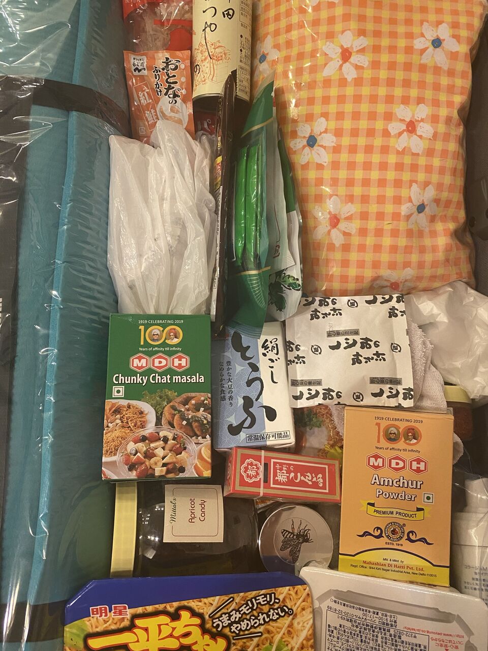 旅支度しながらデリー政府を称賛す 陽はすでにカンジス川から 旅支度しながらデリー政府を称賛す 陽はすでにカンジス川から