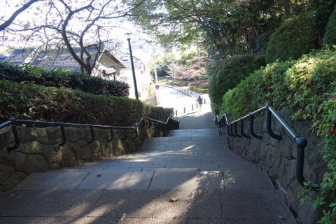 DSC06223