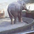 20031224_1414_000.jpg