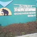 20050417_1451_000.jpg