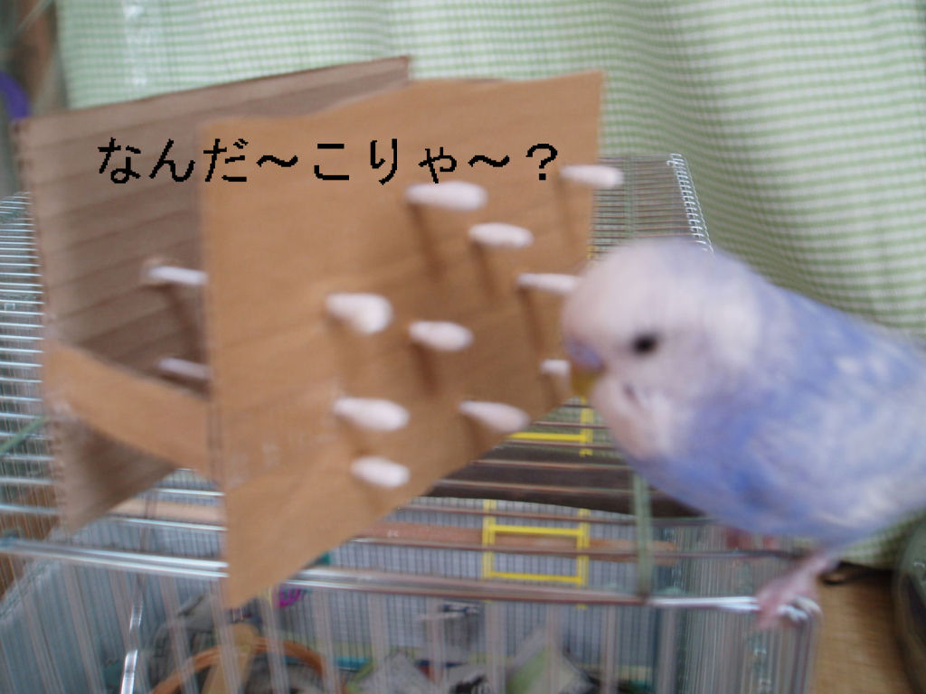 手作りのおもちゃ キュートなインコのピーちゃん