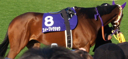 10037f6c.jpg