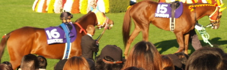 982c7671.jpg